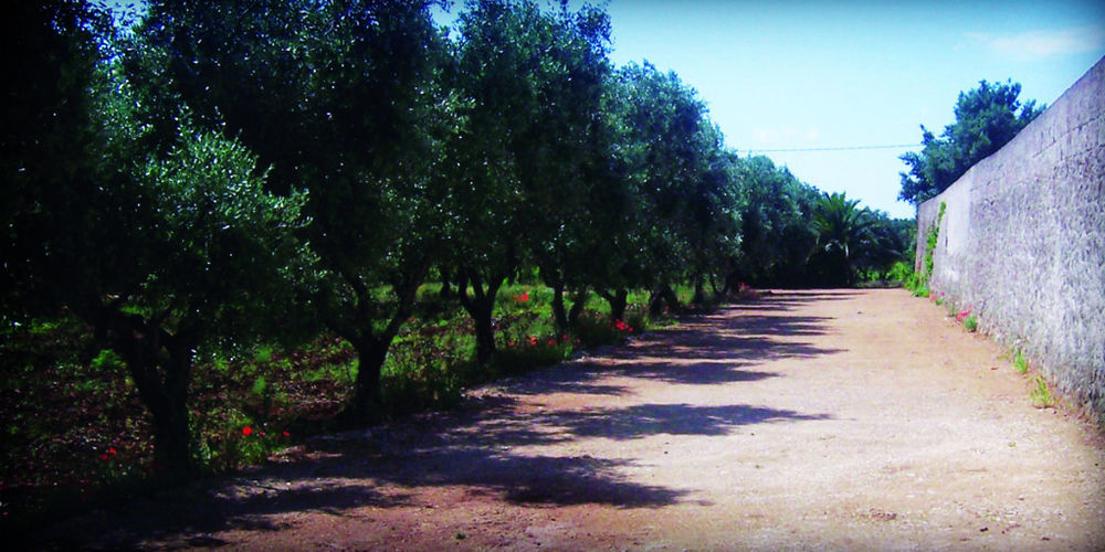 Masseria Nuova Francavilla Fontana Exterior photo